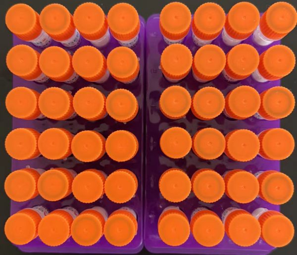 Recombinant human cardiac troponin IC complex I (cTnI-C-I)
