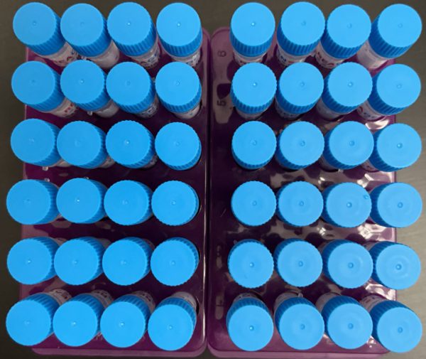 Sulfadiazine antibody